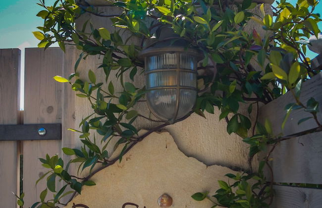 Driftwood Villa - Foto 38