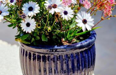 Villa Anna holiday house - Foto 21