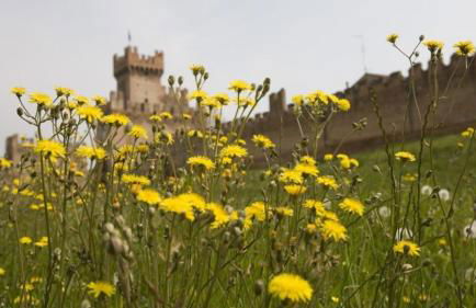 The History Apartment - Foto 14