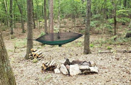 Radiant Forest Vacation Rental Haven Near Piney River, Tennessee - Foto 57