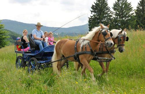 Hochgallinger Hof - Foto 41