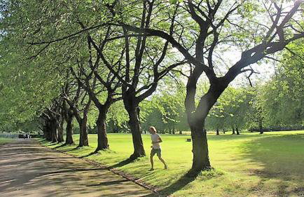 *F1*5GH* Setup for your most relaxed & amazing stay + Free Parking + Free Fast WiFi * - Foto 57