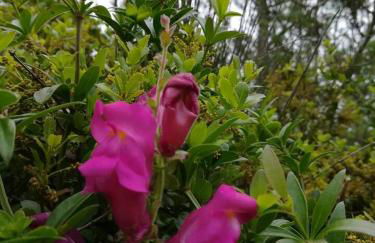 Refúgio Saloio- LugarTranquilo às Portas de Lisboa - Foto 35