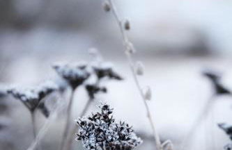 Domaine de Cazal - Gîte 2 pers avec piscine au cœur de 26 hectares de nature préservée - Foto 31