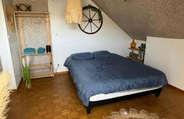 Jungle Cosy - Foto 2