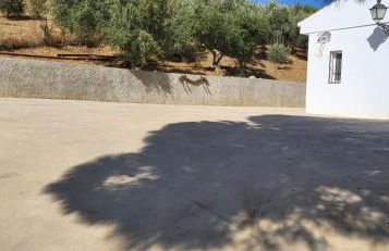 Casa de Andres - Foto 24