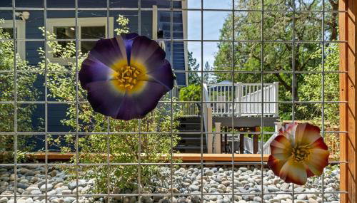 Cosmo Retreat - Hot Tub Dogs OK Bocce Ball Court - Foto 4, Other