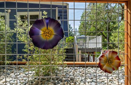 Cosmo Retreat - Hot Tub Dogs OK Bocce Ball Court - Foto 4