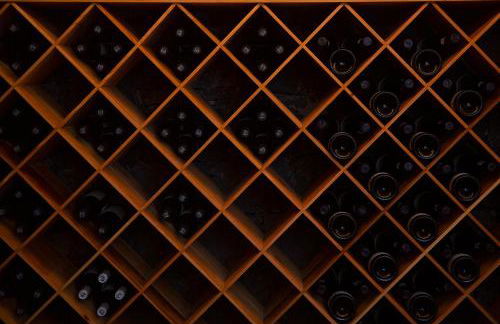 Fazendinha by Real Vision - Foto 55