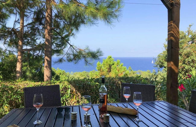 Apartment in Corsica Near Sandy Beach - Foto 32