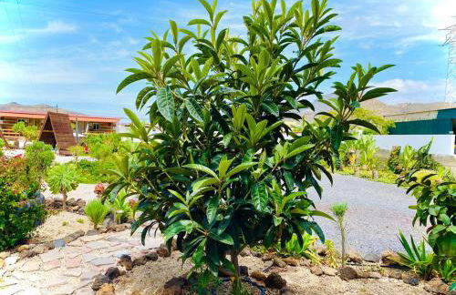 Lykke Suite Spa Piscina y Jardín by Deihu Experiences - Foto 73