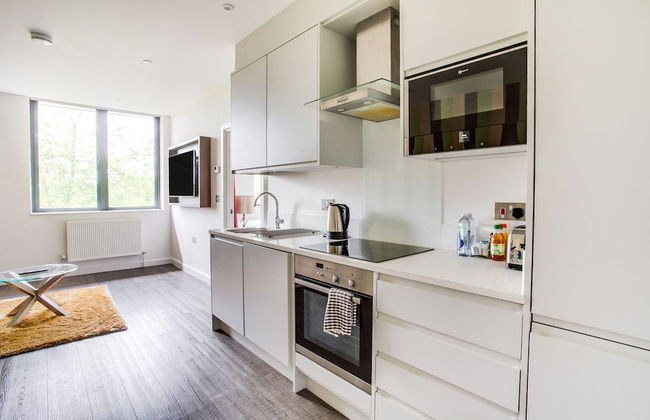 Apartment in Milton Keynes Near Canary Karaoke - Foto 20