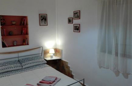 Zagara di Sicilia - Foto 52