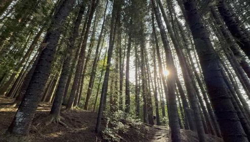 Islander on the Beach 328 - Foto 4