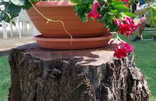 Ca' SVIZZERO - Foto 44