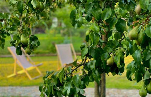 INNA BAJKA - Foto 47