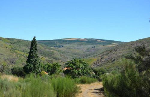 19th Centry Farmhouse Getaway - Sleep 12-14 W/pool - Foto 91