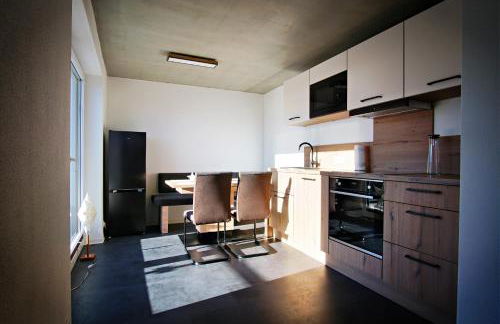 Apartments Patzina NEU 2024 - Kurort Oberwiesenthal - Foto 6