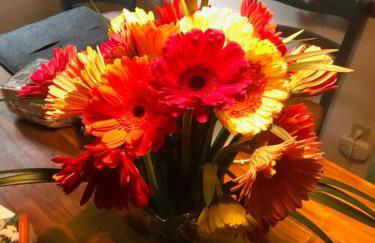 The Storybook Cottage - Foto 3