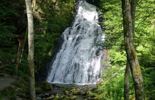 Ferienwohnung mit Talblick in Todtmoos - Photo 35