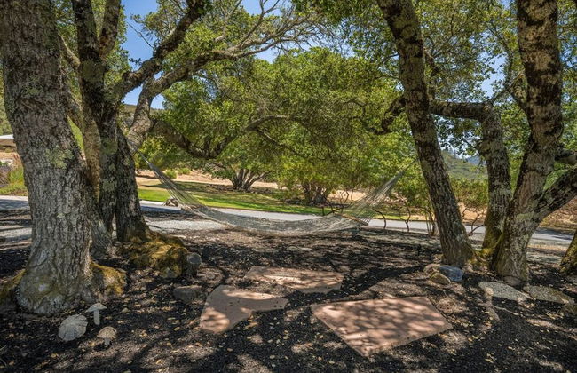 Calistoga Wine Ranch Estate - Foto 48