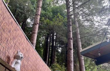 Arcata Forest Retreat Peaceful Redwood Suite 5 min to Downtown Arcata w Private Patio Fountain & Fire Pit - Foto 8