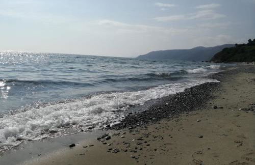 La Casa del Maestro Attico - Photo 53