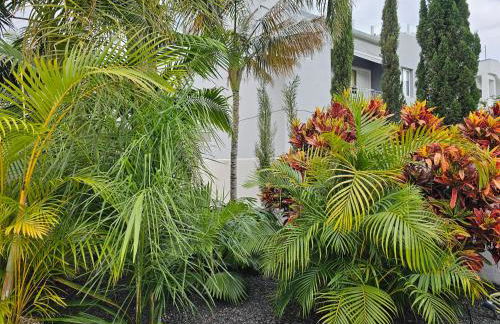 Bayton House - Foto 6