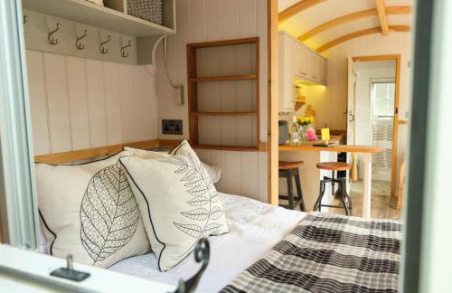 Piano Forte - a delightful rural shepherd hut & hot tub available ! - Foto 11