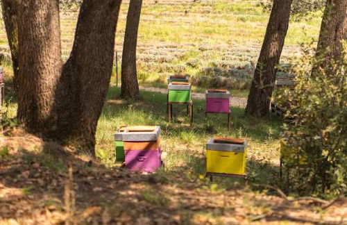 Lodge Grand Confort en Nature - Salle de bain italienne - 10 min A7 - Foto 32