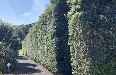 Sítio da Assumada - Foto 8