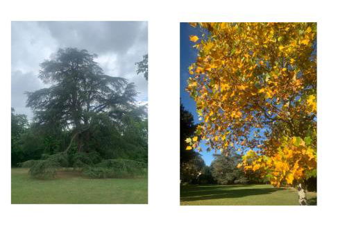 Les Gîtes de La Chartreuse - Jaunay Marigny - 3mnFuturoscope - Foto 23