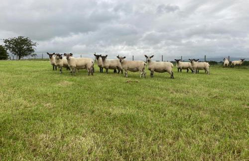 Our Holiday House Yorkshire , Bentham - Children and doggy friendly - Foto 24