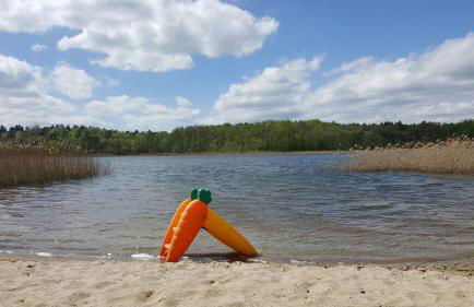 Ferienhaus am Lübbesee - Photo 20