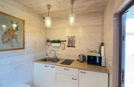 Siedlisko Wytowno - Foto 18