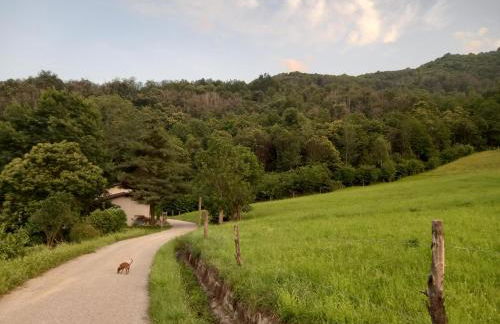 Natura e relax - Foto 19