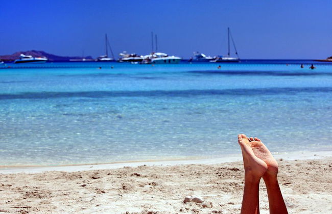 Vile Dalmacija - Foto 58