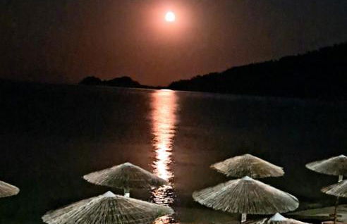 Relax Holistic House - Foto 46