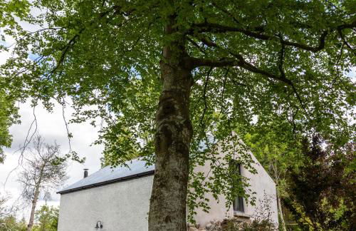 Blackshaw's Studio - Foto 21