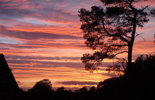 Upper Heath Farm - Stable Cottage Ludlow - Foto 28