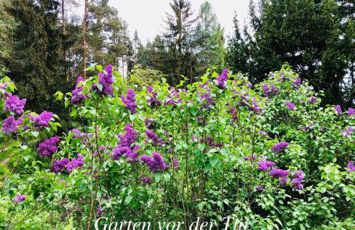 Enjoy Hiking - Foto 29