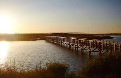 Apartamento Salgados Beach - Foto 64