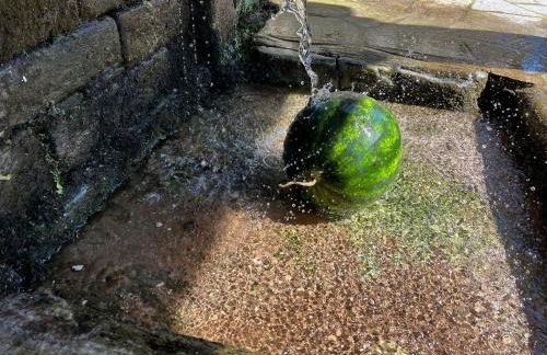 Guest House Pafili - Foto 11