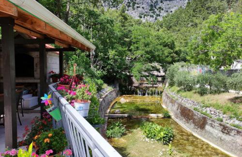 Apartment Bajama - Photo 19