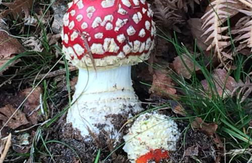 The Old Stable at Manor House, Middleton - Foto 45