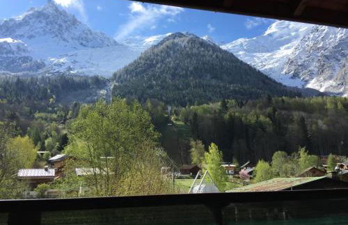 Appartement face au Mont Blanc & Glaciers - Photo 16