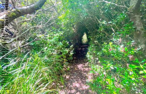 Tide Pool Cabin, a Soquinomere Private Hotel on the Dunes, Downtown Ocean Shores - Foto 41
