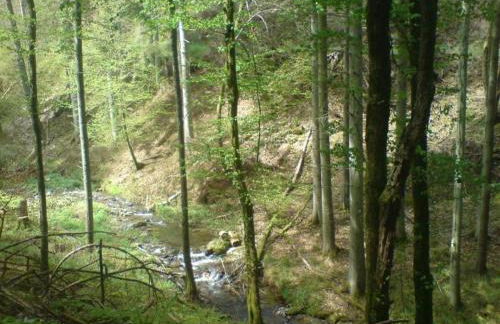 Holiday Home Moselle With Private Sauna - Foto 52