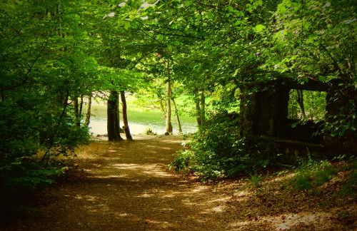 GITE Les Aubues - Foto 13