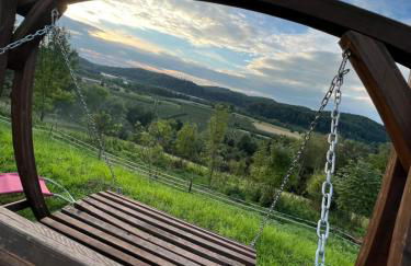 Einzigartiger Panoramablick, Bodensee und Messe in der Nähe - Foto 7